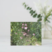 Prairie Views Postkarte (Stehend Vorderseite)