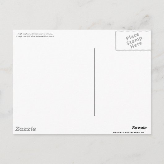 Prairie Views Postkarte (Rückseite)