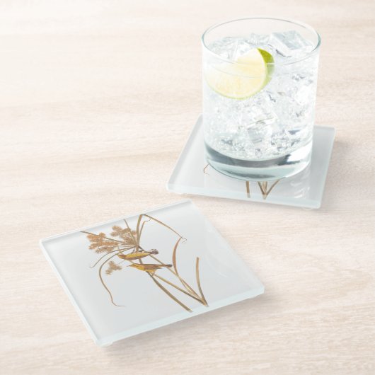 Prairie Warbler Audubon Yellow Bird Glasuntersetzer (Schrägansicht)