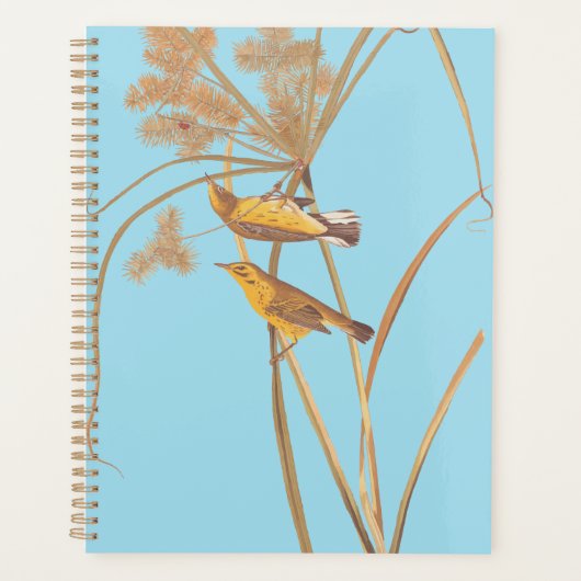 Prairie Warbler Audubon Yellow Bird Planer (Vorderseite)