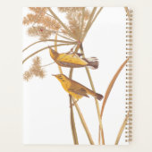 Prairie Warbler Audubon Yellow Bird Planer (Rückseite)