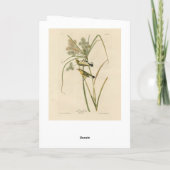 Prairie Warbler von Audubons Vögeln von Amerika Karte (Rückseite)