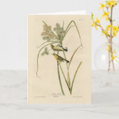 Prairie Warbler von Audubons Vögeln von Amerika Karte (Gelbe Blume)