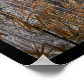 Prairie Wheat on Stall Board Poster (Ecke)