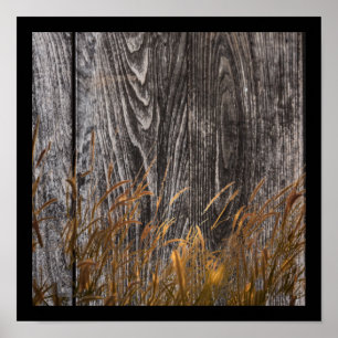 Prairie Wheat on Stall Board Poster
