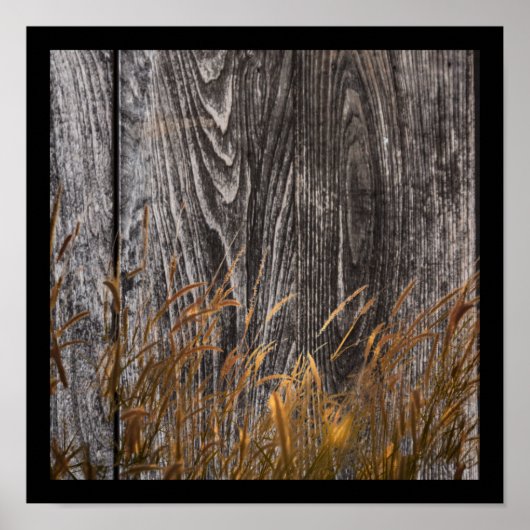 Prairie Wheat on Stall Board Poster (Vorne)