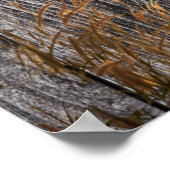 Prairie Wheat on Stall Board Poster (Ecke)