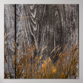 Prairie Wheat on Stall Board Poster (Vorne)