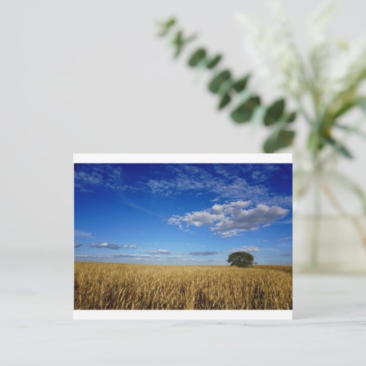 Prairie Wheat und sky Postkarte (Stehend Vorderseite)