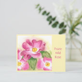 Prairie Wild Rose Post Card Postkarte (Stehend Vorderseite)