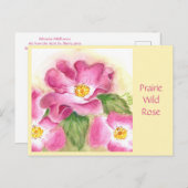 Prairie Wild Rose Post Card Postkarte (Vorne/Hinten)