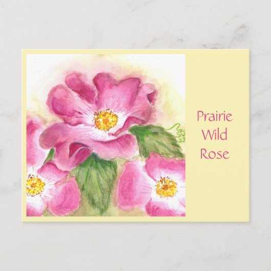 Prairie Wild Rose Post Card Postkarte (Vorderseite)