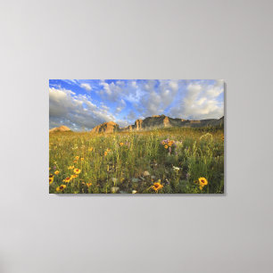 Prairie-Wildblumen bei Windy Creek in den Many Leinwanddruck