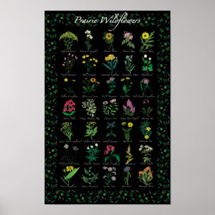 Prairie Wildblumen Poster