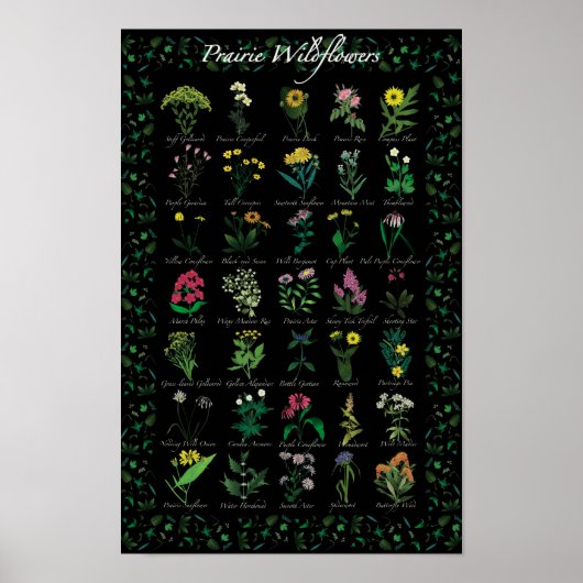 Prairie Wildblumen Poster (Vorne)