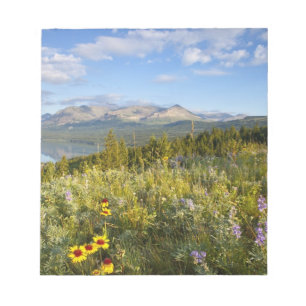 Prairie-Wildblumen und Lower Two Medicine Lake Notizblock