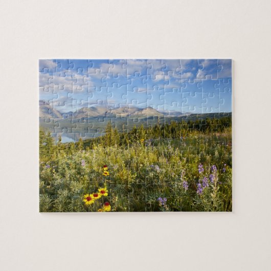 Prairie-Wildblumen und Lower Two Medicine Lake Puzzle (Horizontal)