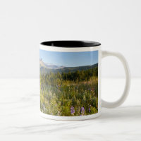 Prairie-Wildblumen und Lower Two Medicine Lake