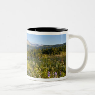 Prairie-Wildblumen und Lower Two Medicine Lake Zweifarbige Tasse