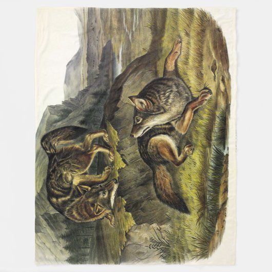 Prairie Wolf (Coyote) von Audubons Quadrupeds Fleecedecke (Vorderseite)