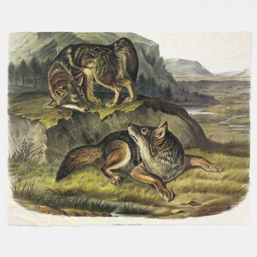 Prairie Wolf (Coyote) von Audubons Quadrupeds Fleecedecke (Vorderseite (Horizontal))