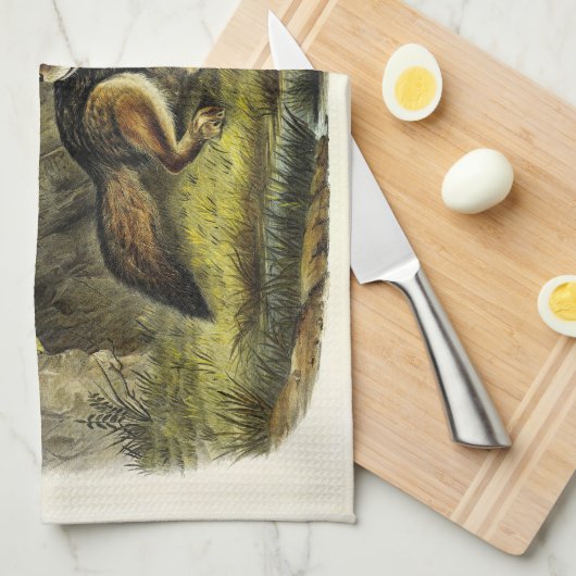 Prairie Wolf (Coyote) von Audubons Quadrupeds Geschirrtuch (Viertel Falte)