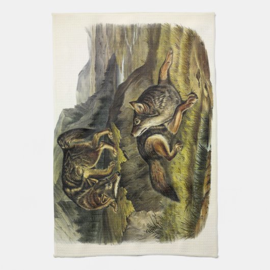 Prairie Wolf (Coyote) von Audubons Quadrupeds Geschirrtuch (Vertikal)