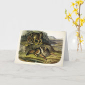 Prairie Wolf (Coyote) von Audubons Quadrupeds Karte (Gelbe Blume)