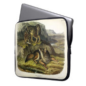 Prairie Wolf (Coyote) von Audubons Quadrupeds Laptopschutzhülle (Vorderseite Links)