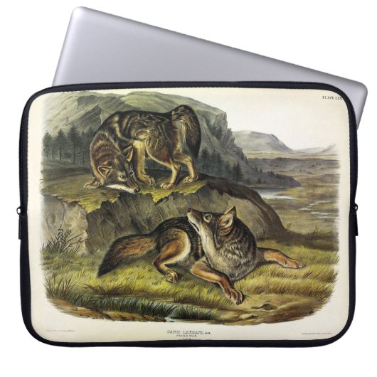 Prairie Wolf (Coyote) von Audubons Quadrupeds Laptopschutzhülle (Vorderseite)
