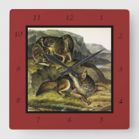 Prairie Wolf (Coyote) von Audubons Quadrupeds