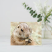 Prairiedog Postcard Postkarte (Stehend Vorderseite)