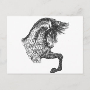 Prancing Andalusian Postkarte