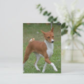 Prancing Basenji Dog Postkarte (Stehend Vorderseite)