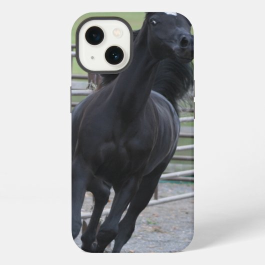 Prancing Black Arabian iPhone Hülle (Rückseite)