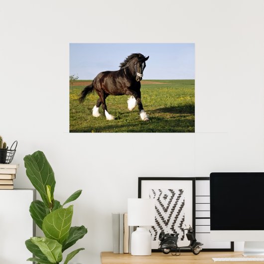 Prancing Clydesdale Poster (Heimbüro)
