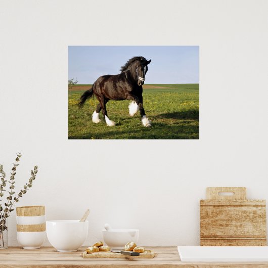 Prancing Clydesdale Poster (Küche)