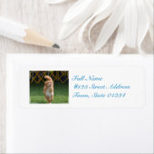 Prancing Nova Scotia Retriever (Insitu)