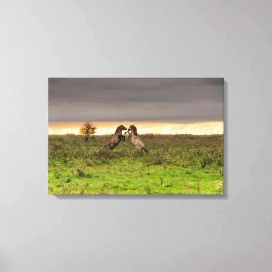 Prancing Pferde Leinwand (Vorderseite)