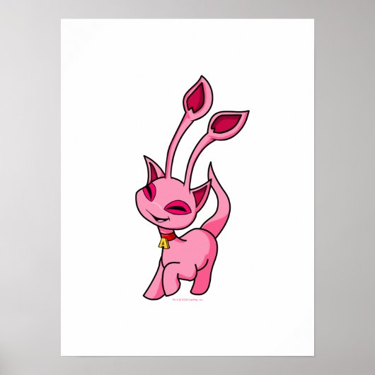 Prancing pink Aisha Poster (Vorne)