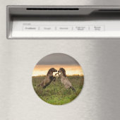 Prancing von Wildpferden runder Magnet (In Situ (Geschirrspüler))