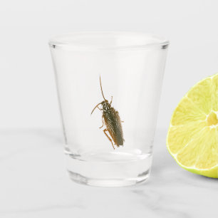 Prank-Kakerglas Schnapsglas