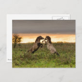 Pranke Wildpferde nach Karte (Vorne/Hinten)