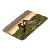 Pranzende Wildpferde in Oostvaardersplassen-Magnet Magnet (Linke Seite)