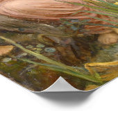 PräRaphaelitmalerei Echo und Narziss Poster (Ecke)