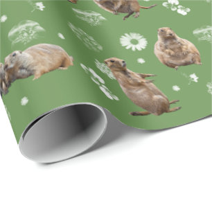 Prärie Dog Party Wrapping Paper (Grüne) Geschenkpapier