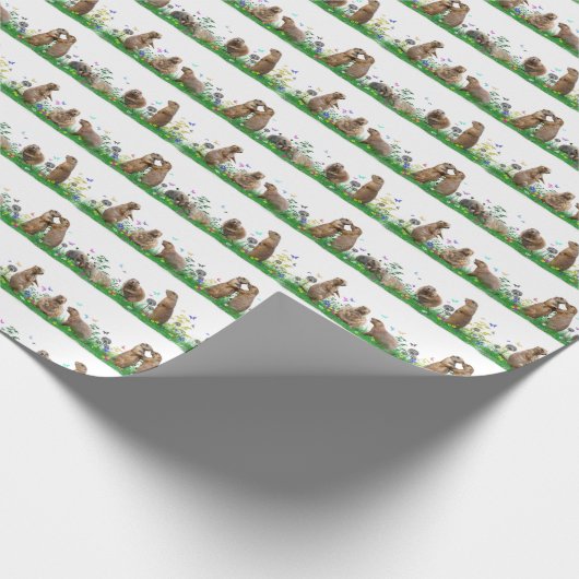 Prärie Dog Wiadow Wrapping Paper (Farbe auswählen) Geschenkpapier (Ecke)