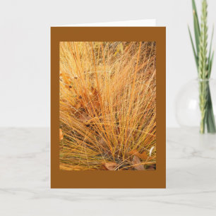 Prärie Dropseed im Herbst Blank-Note-Karte Karte