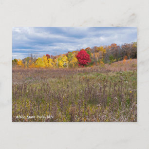Prärie-Landschaft im Herbst im Afton State Park Feiertagspostkarte