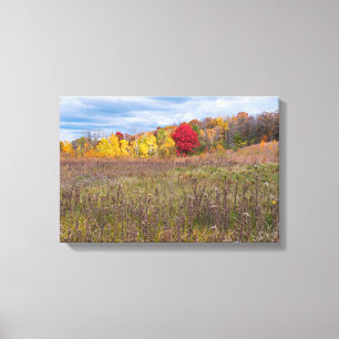 Prärie-Landschaft im Herbst im Afton State Park Leinwanddruck